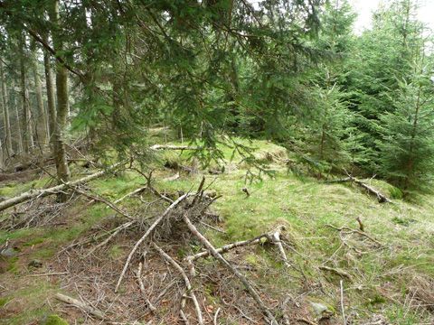Foto 17